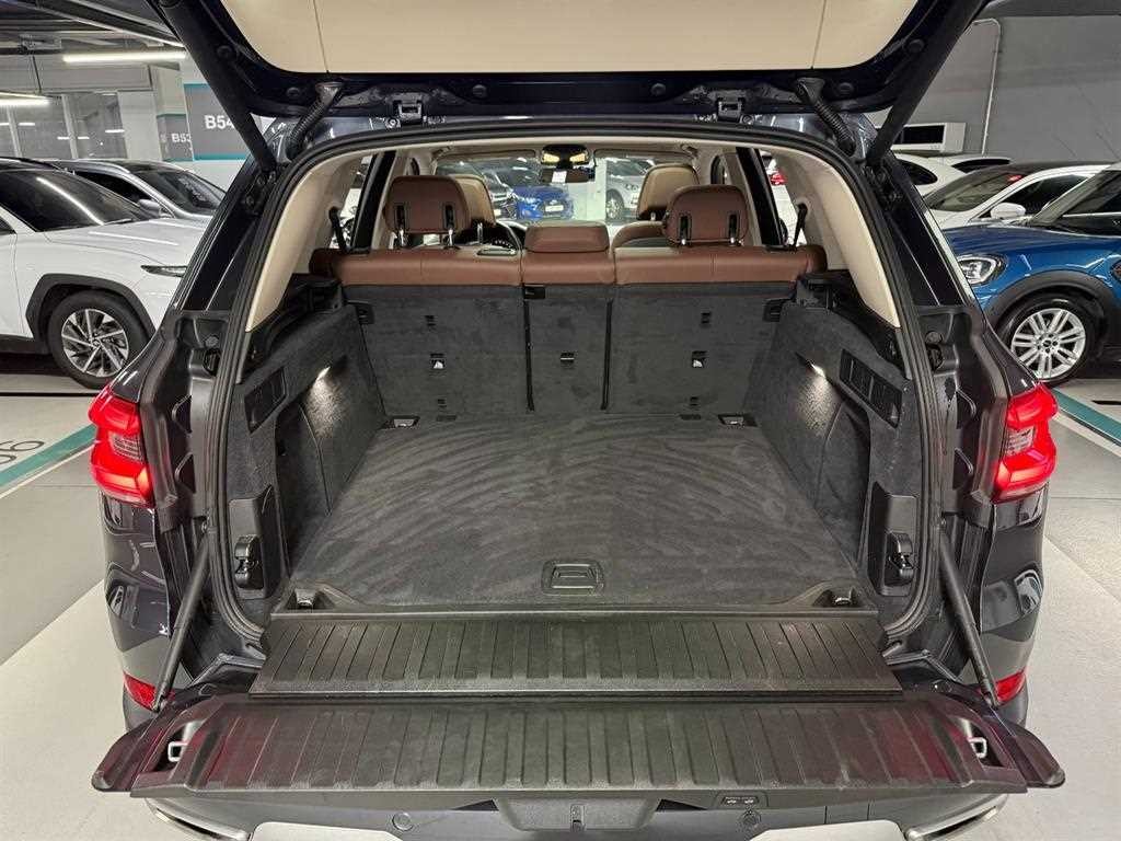 BMW X5 X5 (G05) xDrive 30d xLine 이미지 19
