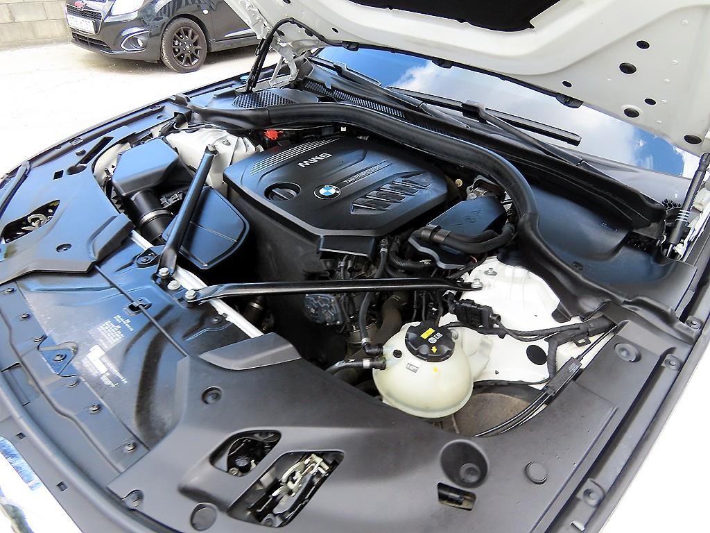 BMW 5시리즈 5시리즈 (G30) 520d M 스포츠 스페셜 에디션 이미지 19