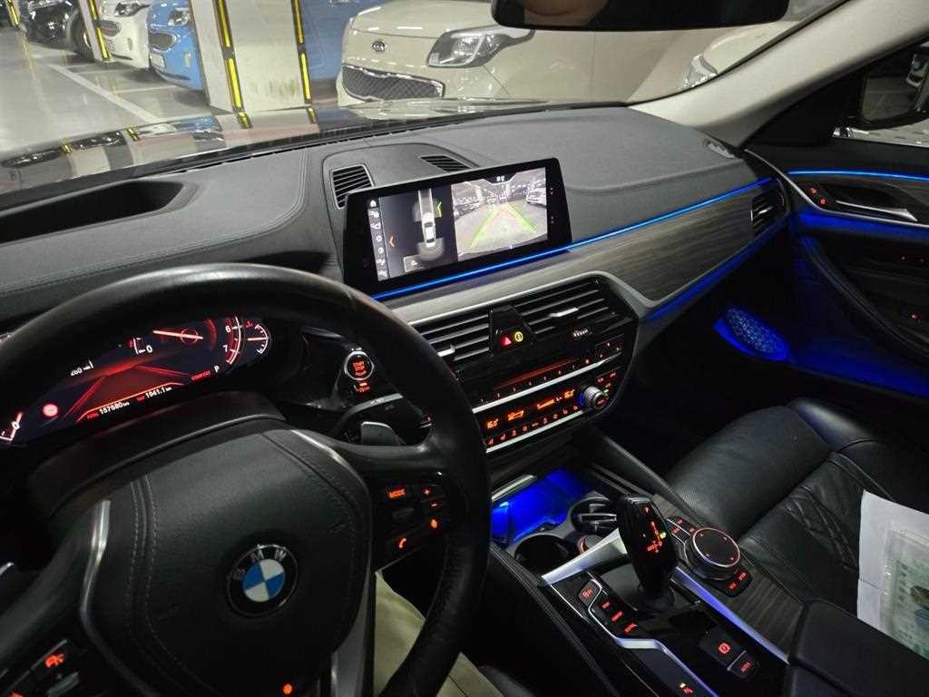 BMW 5시리즈 5시리즈 (G30) 530i xDrive 럭셔리 플러스 이미지 13