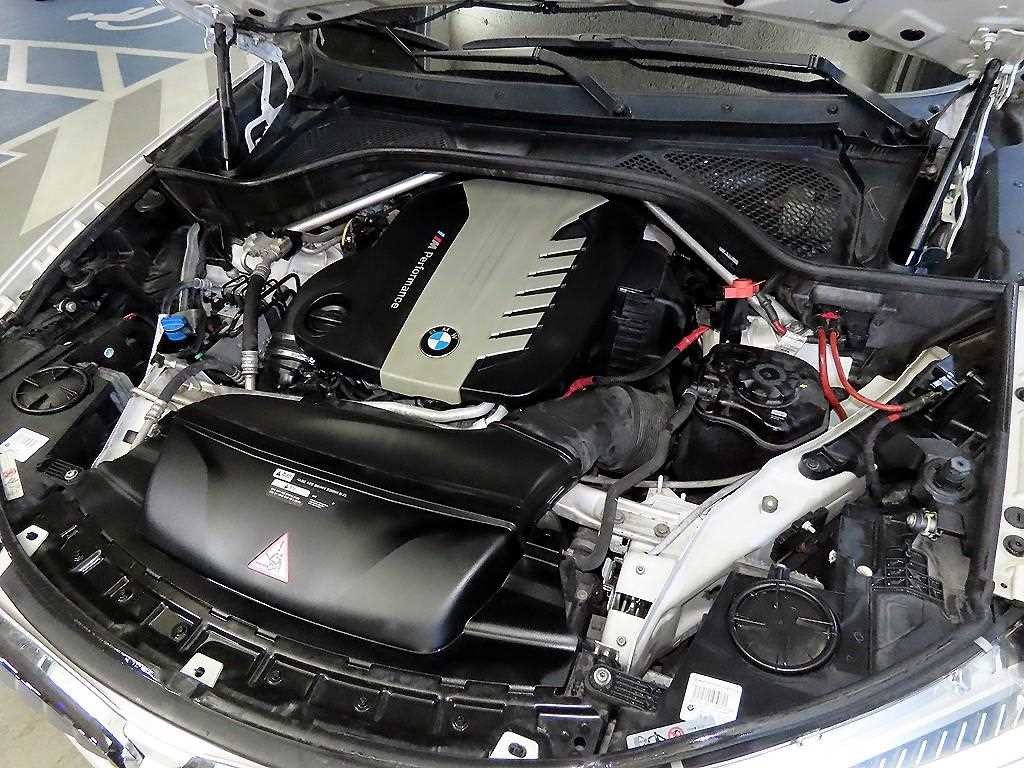BMW X5 X5 (F15) xDrive M50d 이미지 19