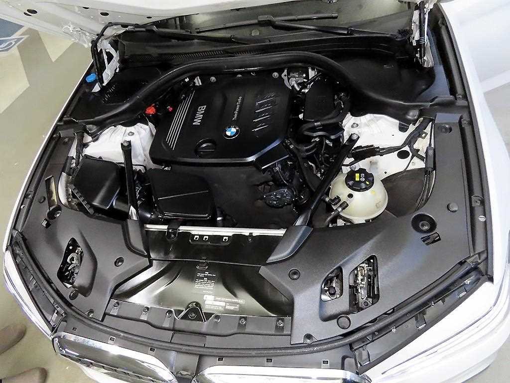 BMW 5시리즈 5시리즈 (G30) 520d xDrive M 스포츠 플러스 이미지 19