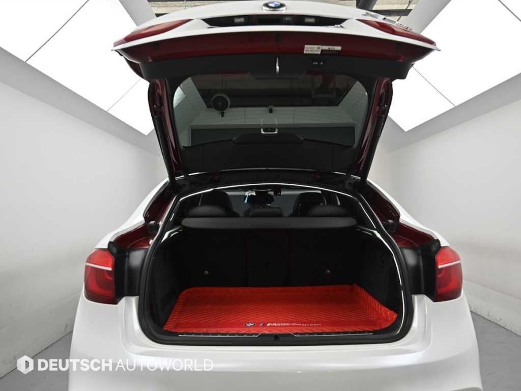 BMW X6 X6 (F16) xDrive 40d 이미지 19