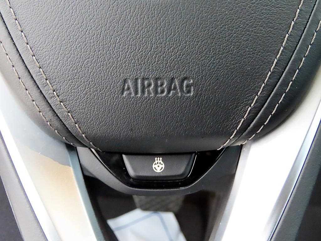 BMW 5시리즈 5시리즈 (G30) 530i xDrive 럭셔리 플러스 이미지 13