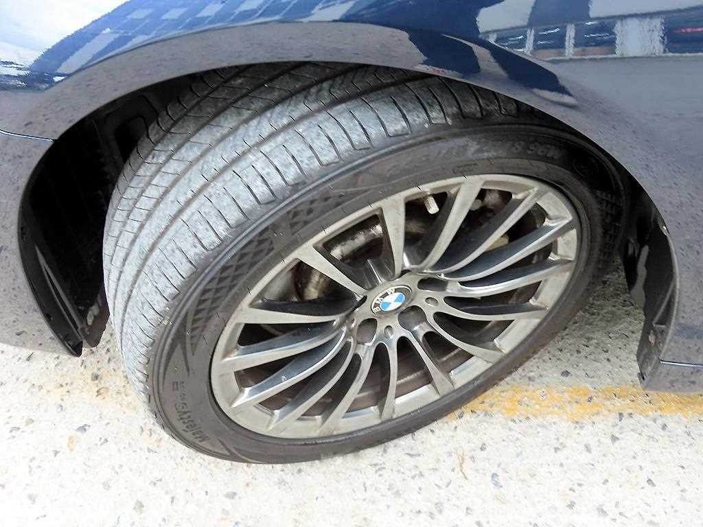 BMW 5시리즈 5시리즈 (G30) 530i xDrive 럭셔리 플러스 이미지 20