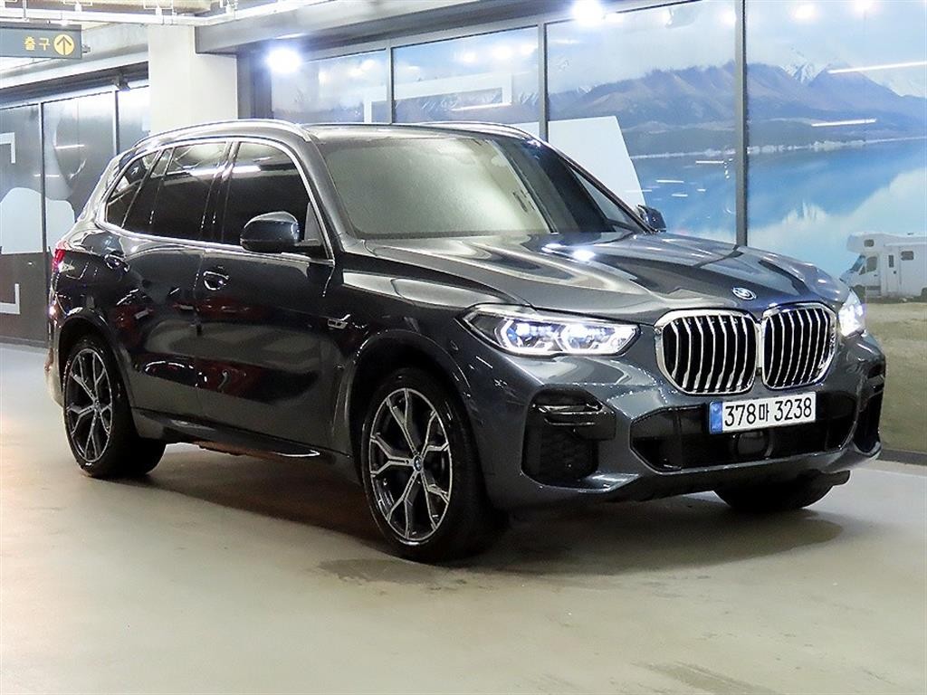 BMW X5 X5 (G05) xDrive 45e M 스포츠 이미지 1