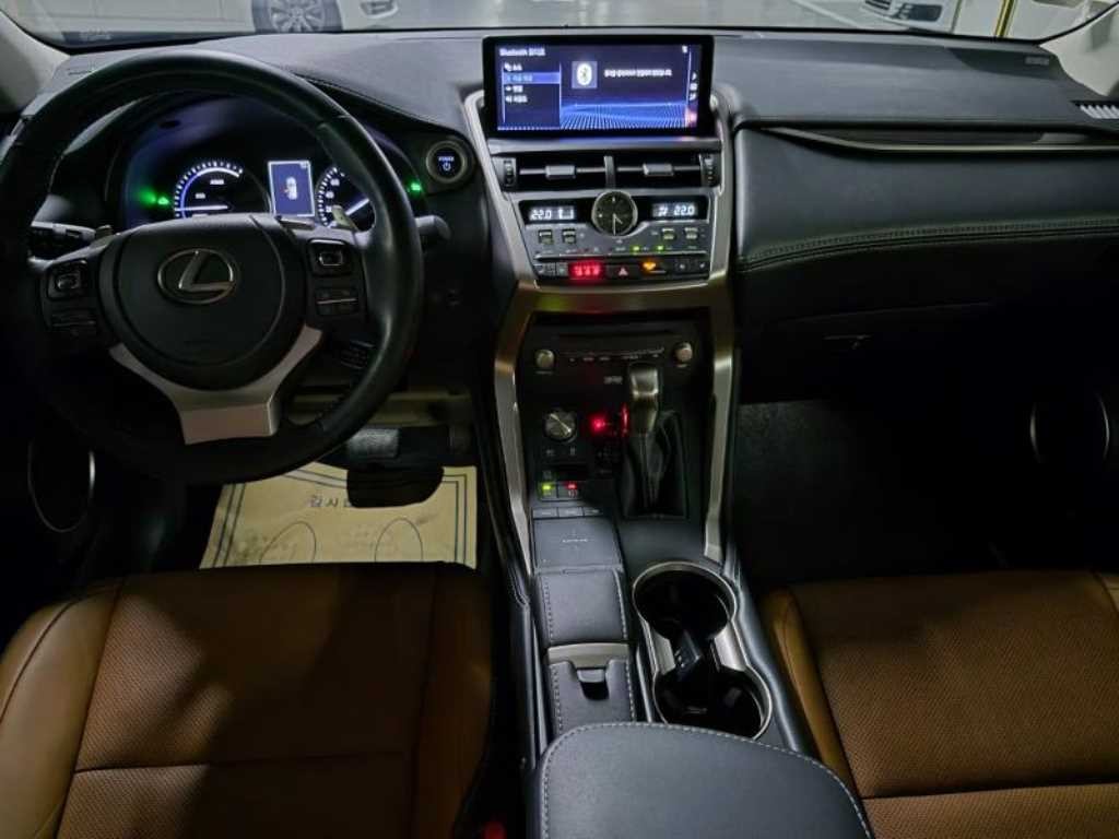 렉서스 NX NX 300h 이그제큐티브 이미지 10
