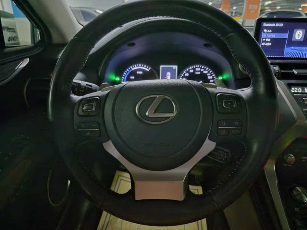 렉서스 NX NX 300h 이그제큐티브 이미지 8