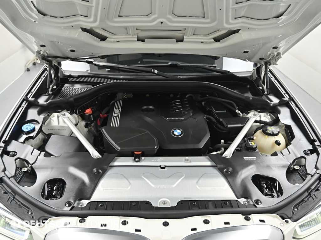 BMW X4 X4 (G02) xDrive 20i M 스포츠 이미지 6