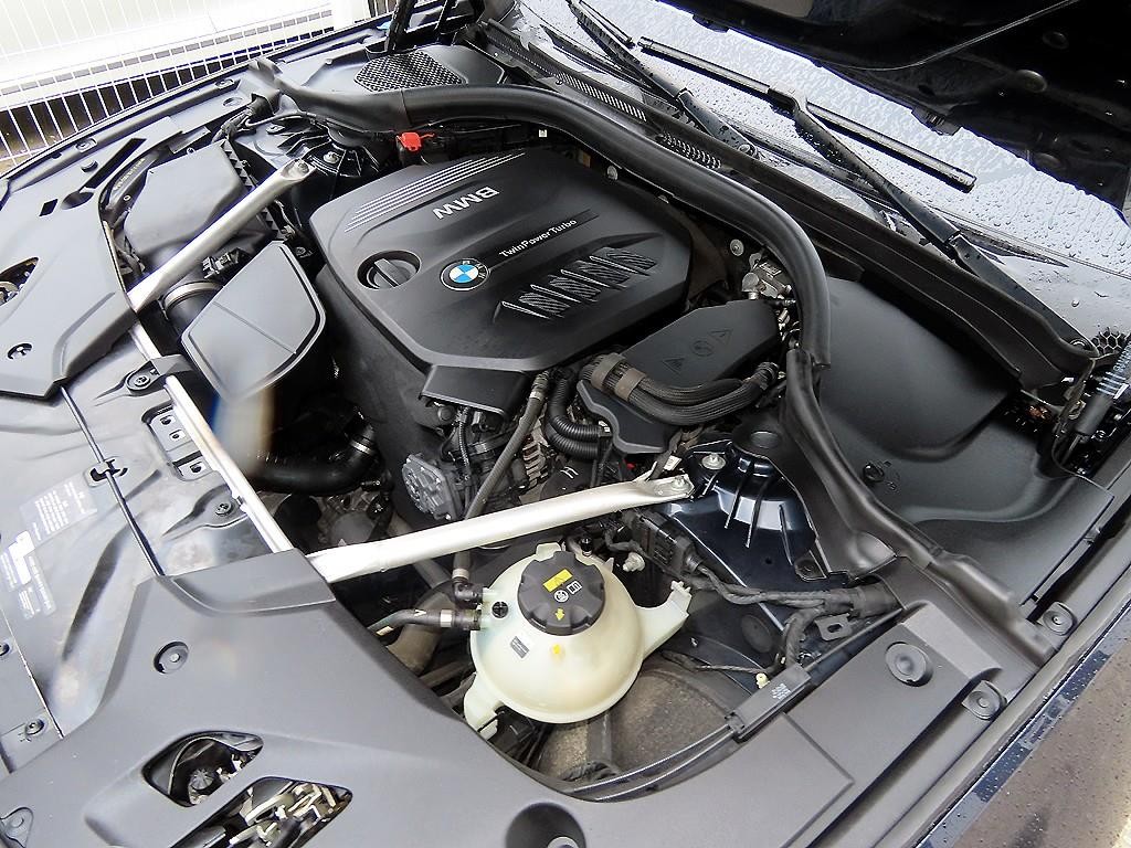 BMW 5시리즈 5시리즈 (G30) 520d M 스포츠 플러스 이미지 19