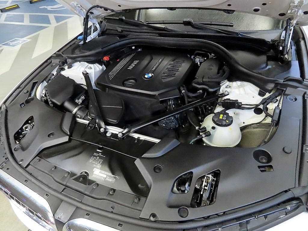 BMW 5시리즈 5시리즈 (G30) 520d 럭셔리 스페셜 에디션 이미지 19