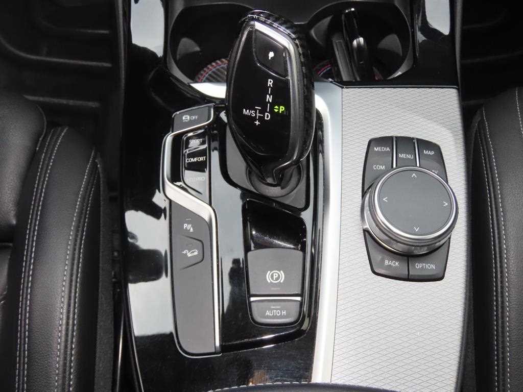 BMW X3 X3 (G01) xDrive 20d M 스포츠 이미지 11