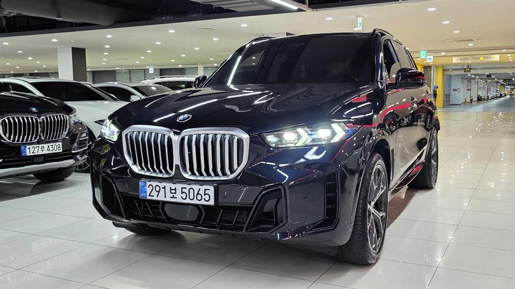BMW X5 X5 (G05) xDrive 40i M 스포츠 이미지 17