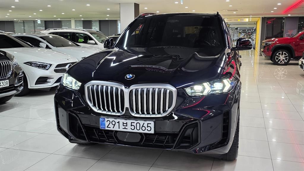 BMW X5 X5 (G05) xDrive 40i M 스포츠 이미지 18