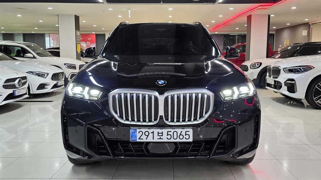 BMW X5 X5 (G05) xDrive 40i M 스포츠 이미지 19