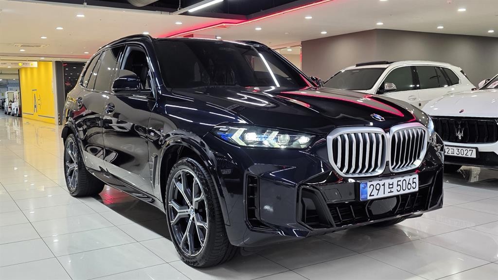 BMW X5 X5 (G05) xDrive 40i M 스포츠 이미지 20