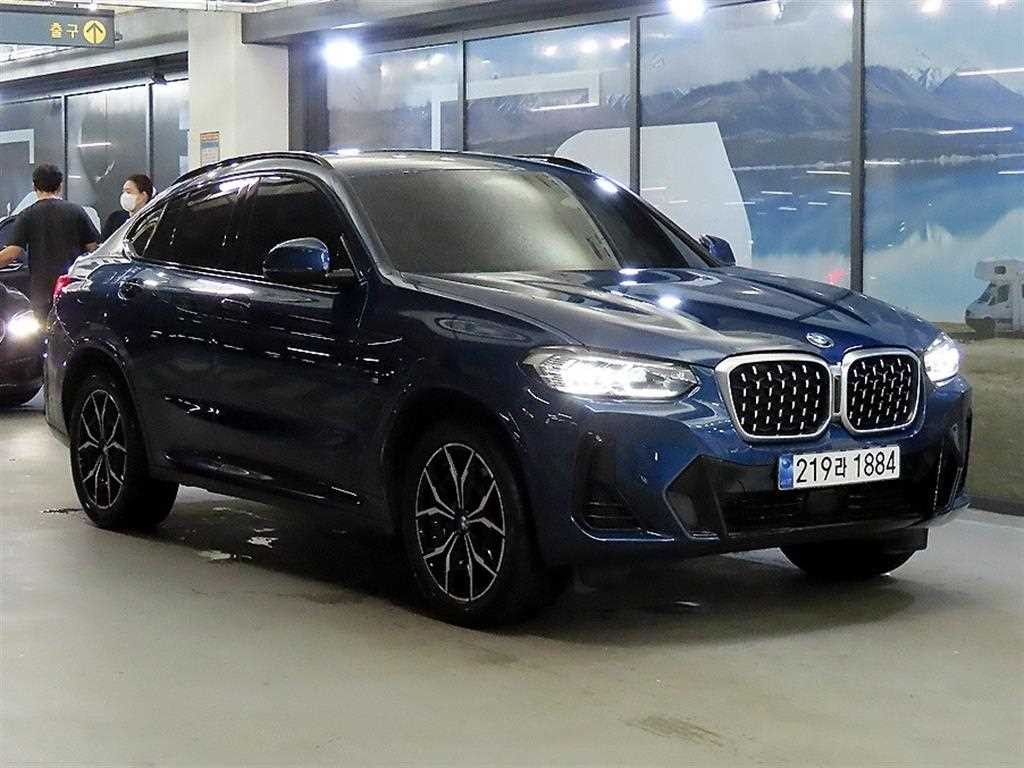 BMW X4 X4 (G02) xDrive 20i M 스포츠 프로 이미지 1