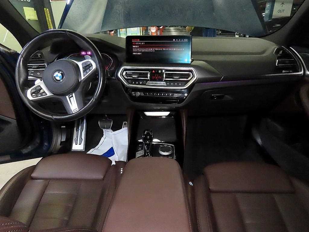 BMW X4 X4 (G02) xDrive 20i M 스포츠 프로 이미지 10