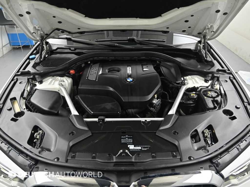 BMW 5시리즈 5시리즈 (G30) 530i M 스포츠 플러스 이미지 6