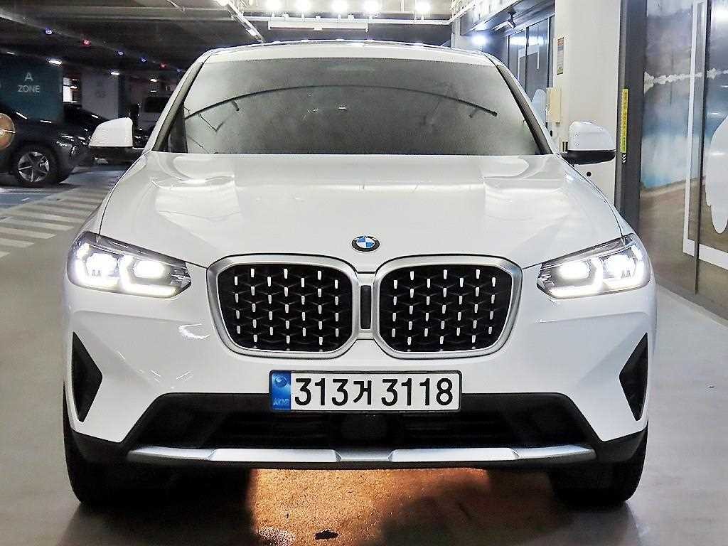 BMW X4 X4 (G02) xDrive 20i xLine 이미지 2