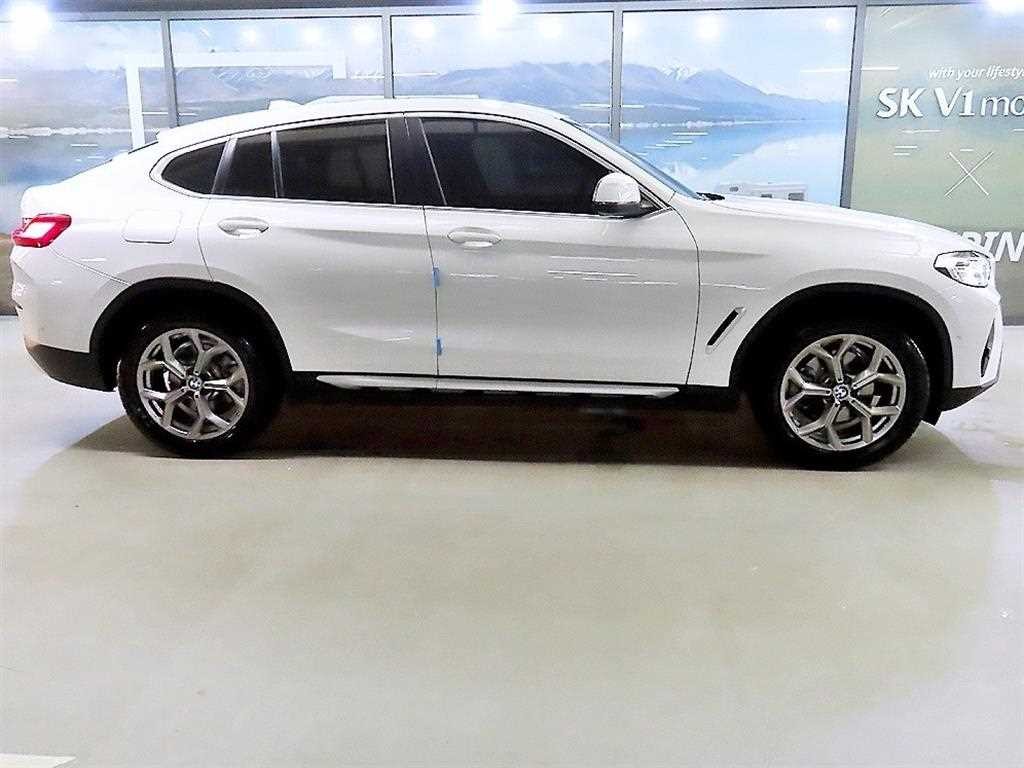 BMW X4 X4 (G02) xDrive 20i xLine 이미지 3