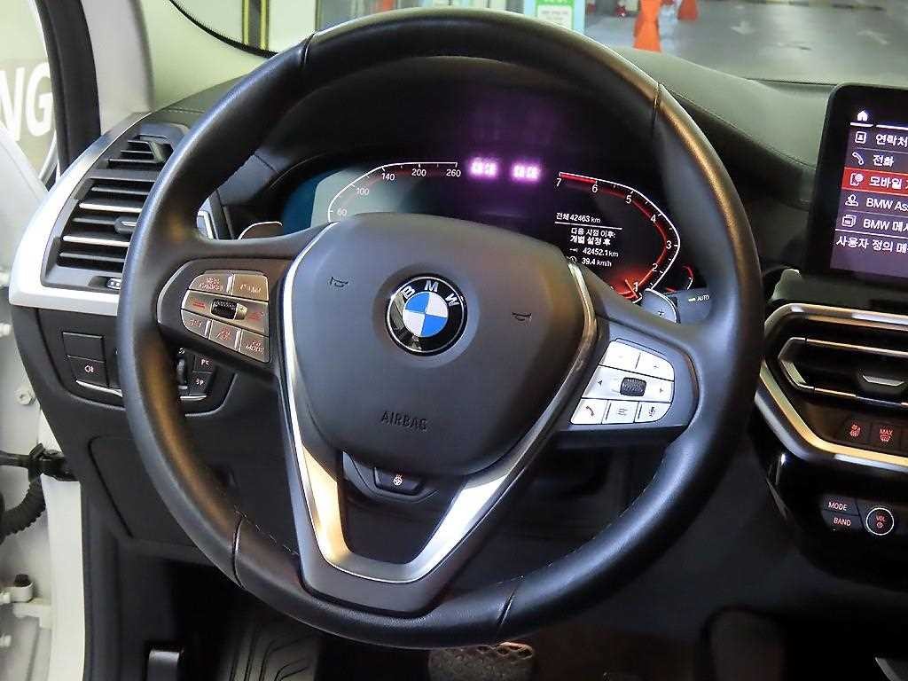 BMW X4 X4 (G02) xDrive 20i xLine 이미지 8