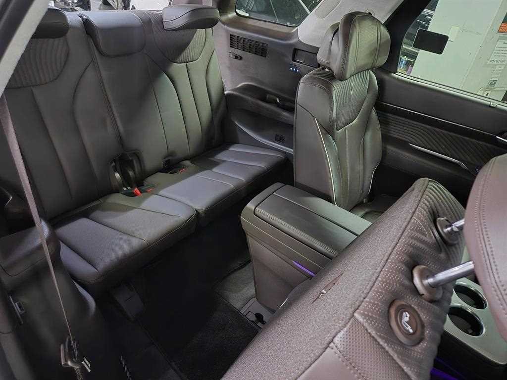 현대 팰리세이드 더 뉴 팰리세이드 디젤 2.2 4WD VIP 이미지 14