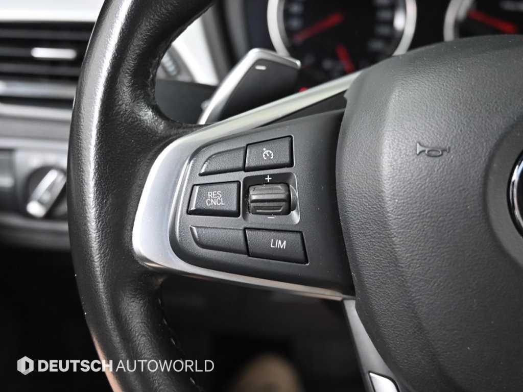 BMW X1 X1 (F48) xDrive 18d 조이 이미지 16
