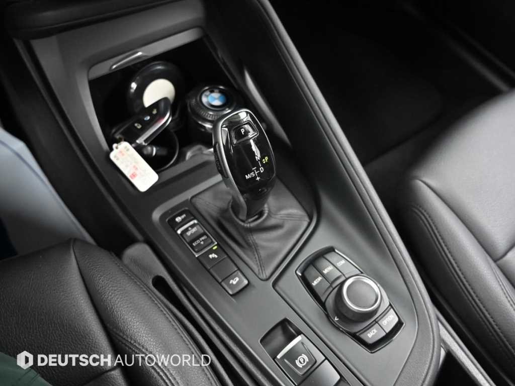BMW X1 X1 (F48) xDrive 18d 조이 이미지 9