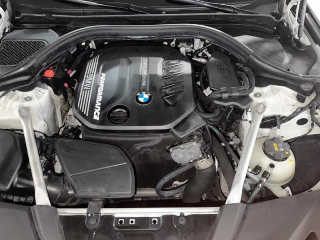 BMW 5시리즈 5시리즈 (G30) 520d M 스포츠 플러스 이미지 19