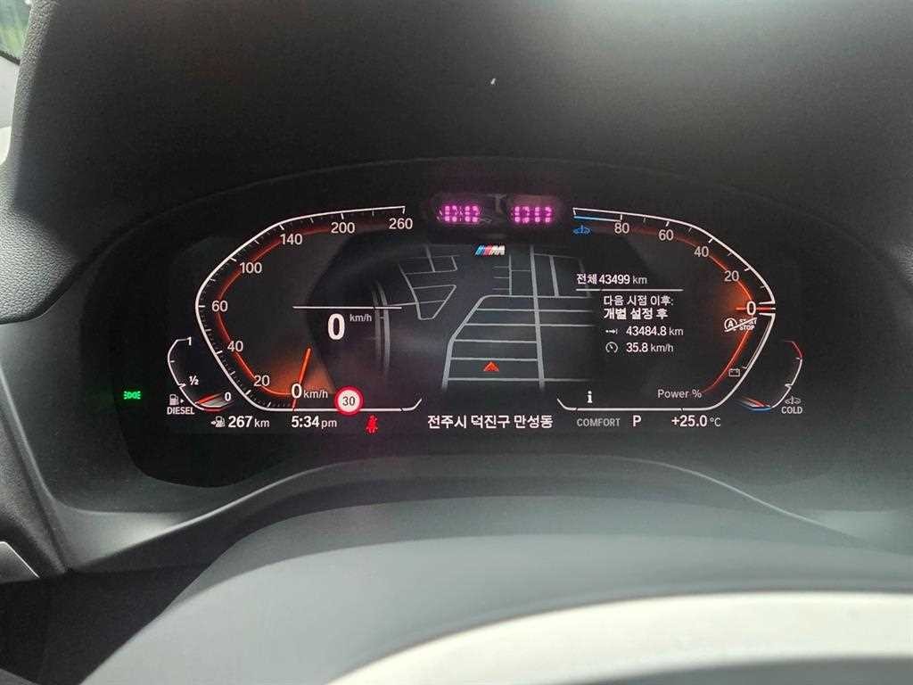 BMW X4 X4 (G02) xDrive 20d M 스포츠 이미지 11