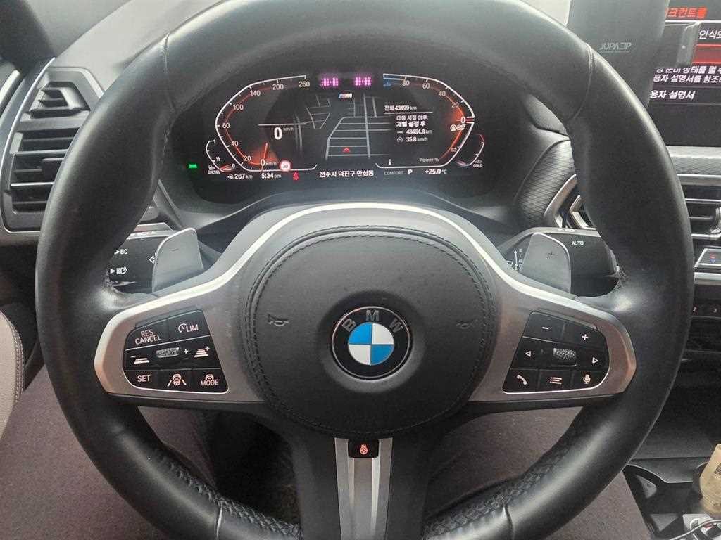 BMW X4 X4 (G02) xDrive 20d M 스포츠 이미지 12