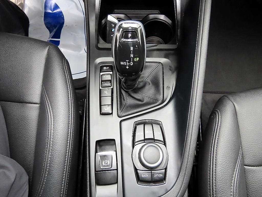 BMW X1 X1 (F48) xDrive 18d 프리미엄 이미지 10