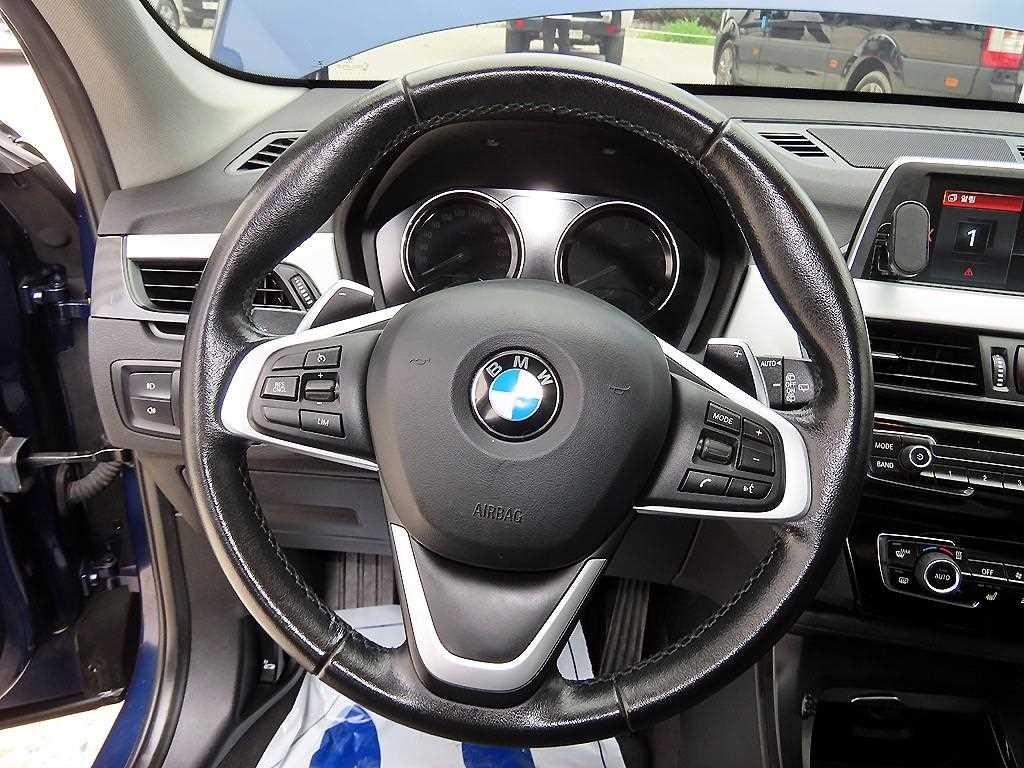 BMW X1 X1 (F48) xDrive 18d 프리미엄 이미지 8