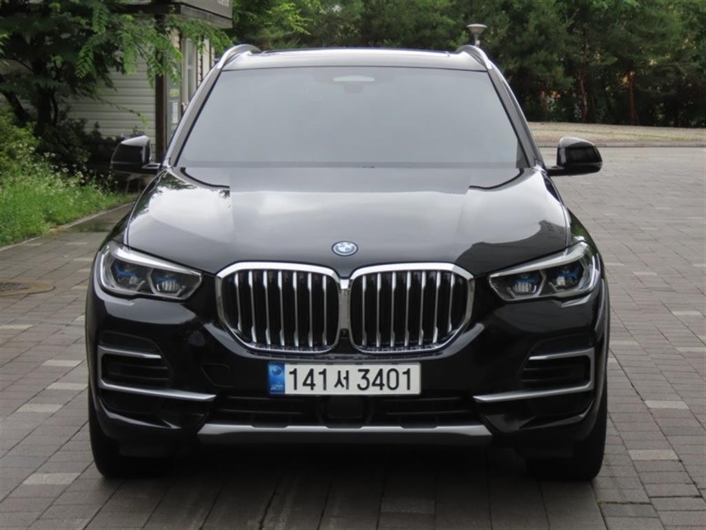 BMW X5 X5 (G05) xDrive 45e xLine 이미지 1