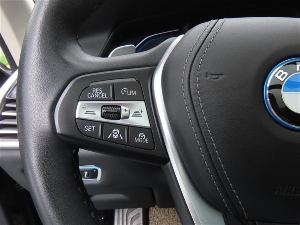 BMW X5 X5 (G05) xDrive 45e xLine 이미지 11