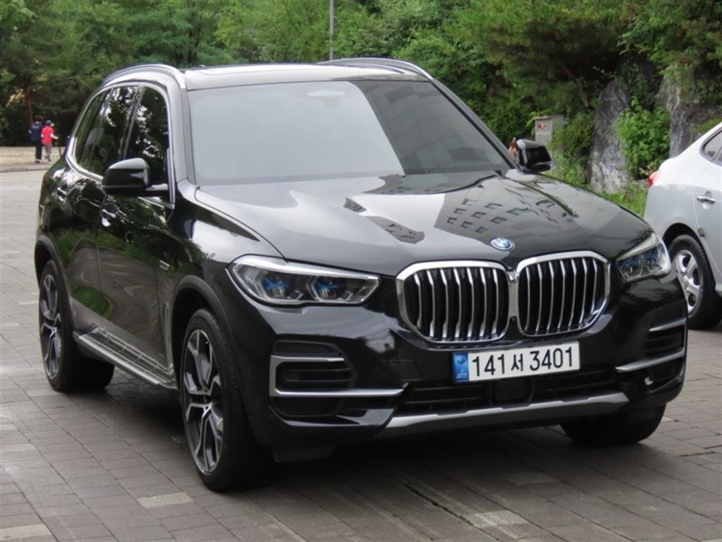 BMW X5 X5 (G05) xDrive 45e xLine 이미지 2