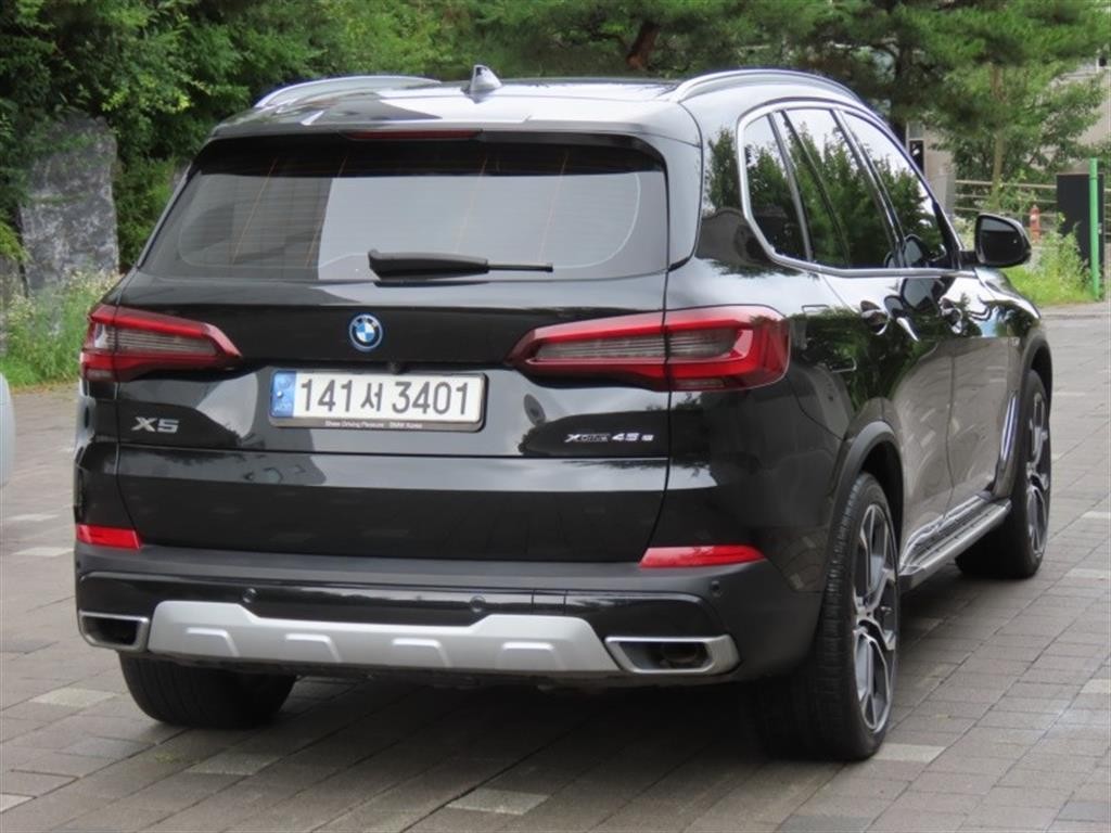 BMW X5 X5 (G05) xDrive 45e xLine 이미지 3