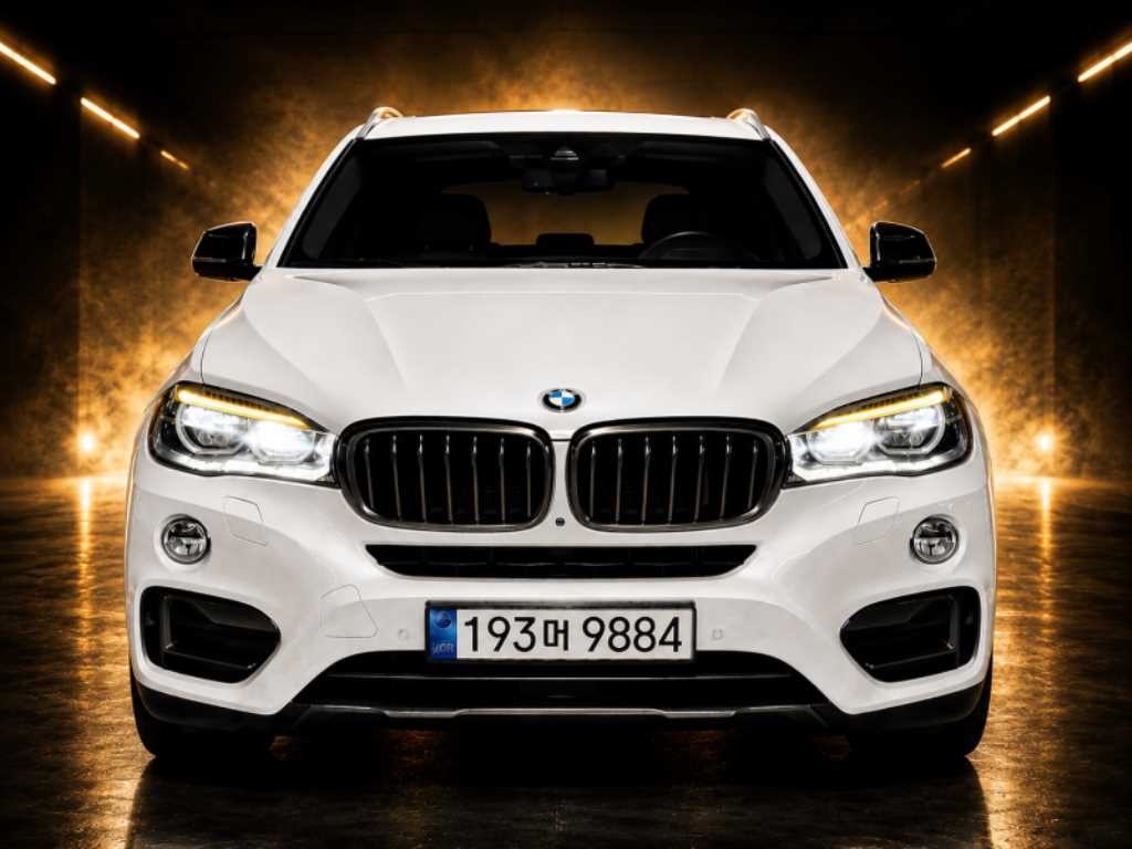 BMW X6 X6 (F16) xDrive 40d 이미지 1
