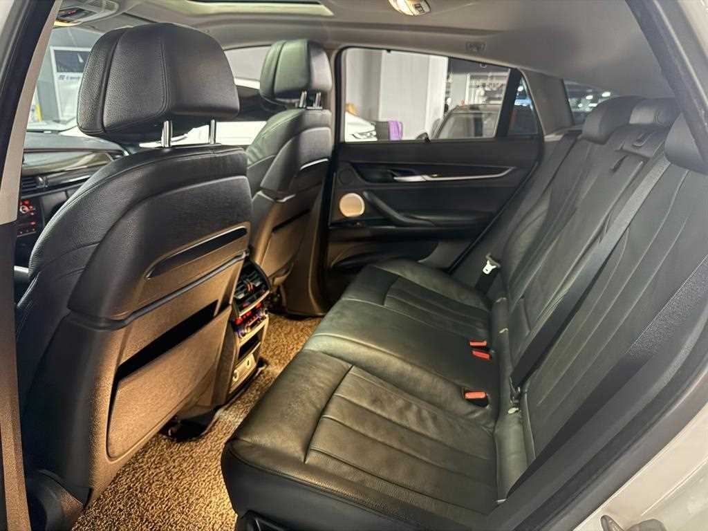 BMW X6 X6 (F16) xDrive 40d 이미지 11