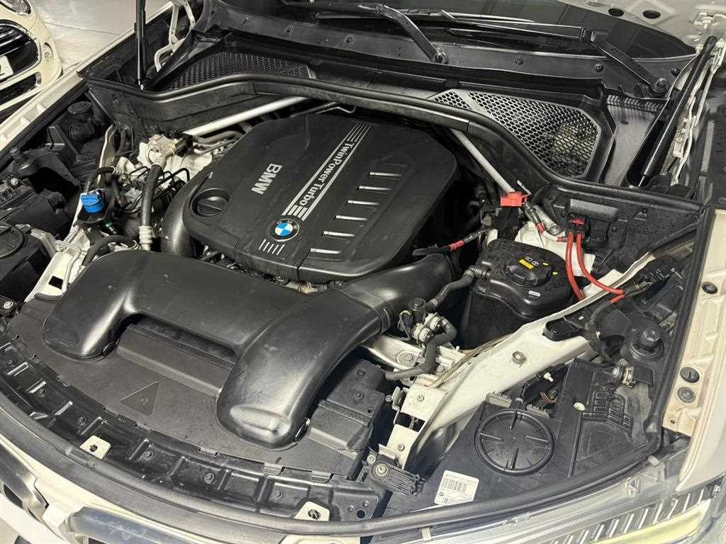 BMW X6 X6 (F16) xDrive 40d 이미지 6