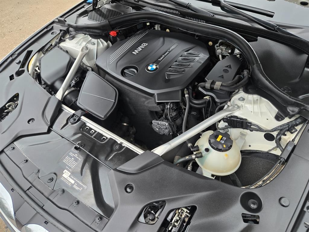 BMW 5시리즈 5시리즈 (G30) 520d xDrive 럭셔리 플러스 이미지 19