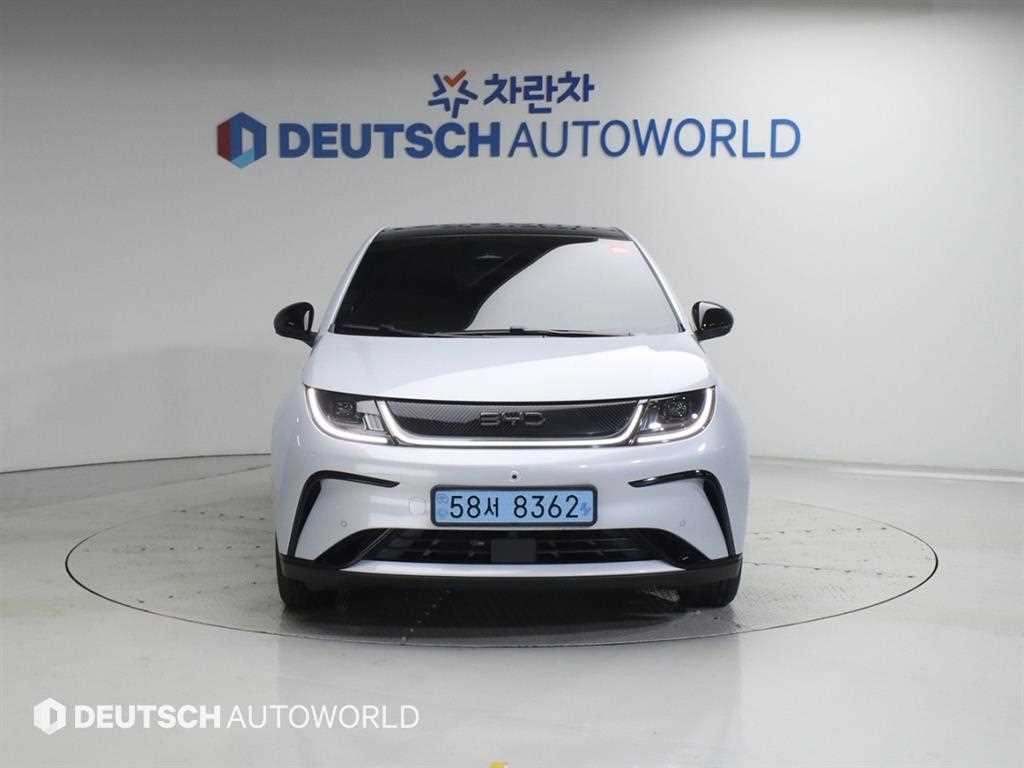 BYD 돌핀 베이스 이미지 3