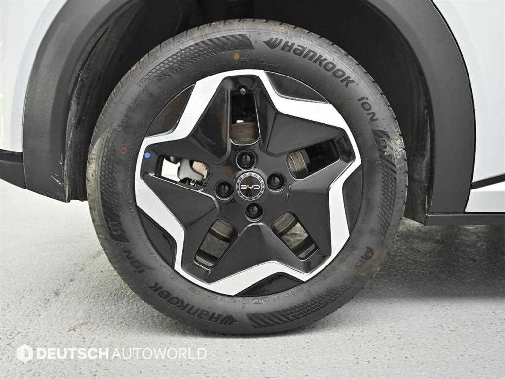 BYD 돌핀 베이스 이미지 5