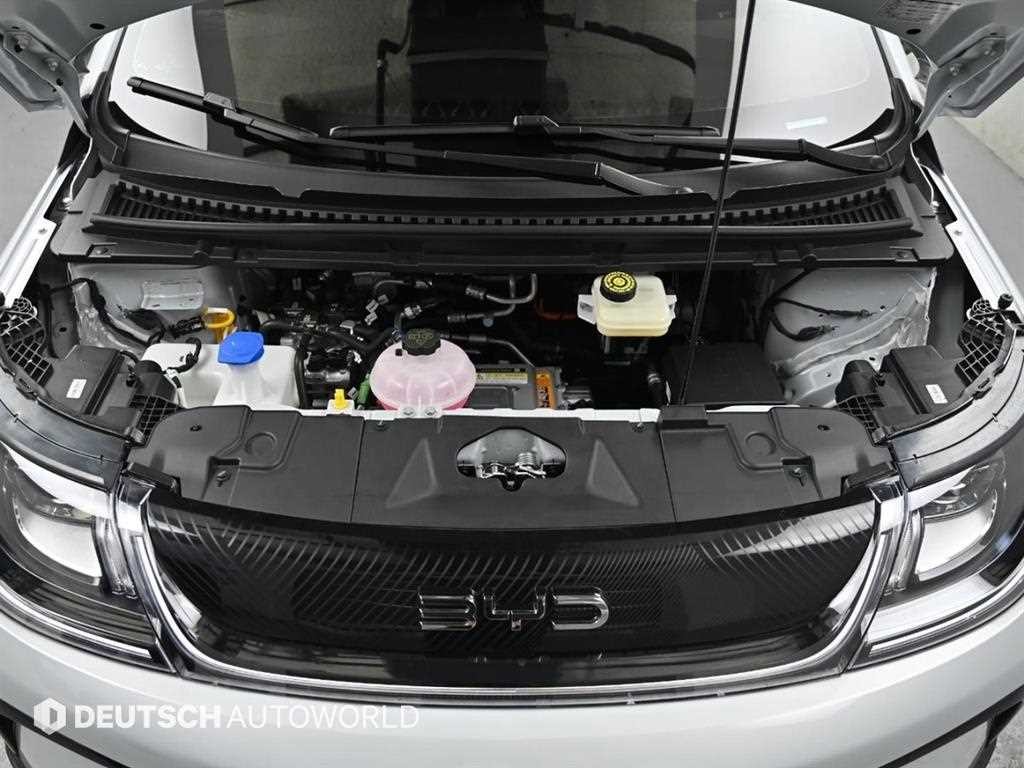 BYD 돌핀 베이스 이미지 6