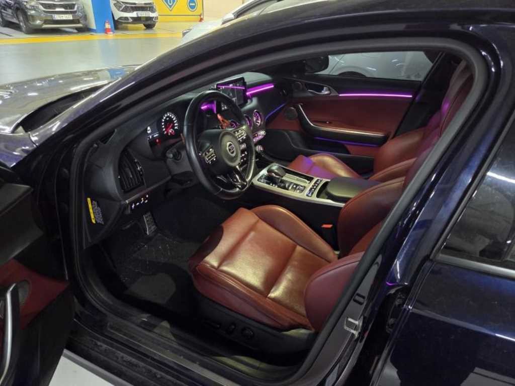 기아 스팅어 디젤 2.2 2WD 플래티넘 이미지 14