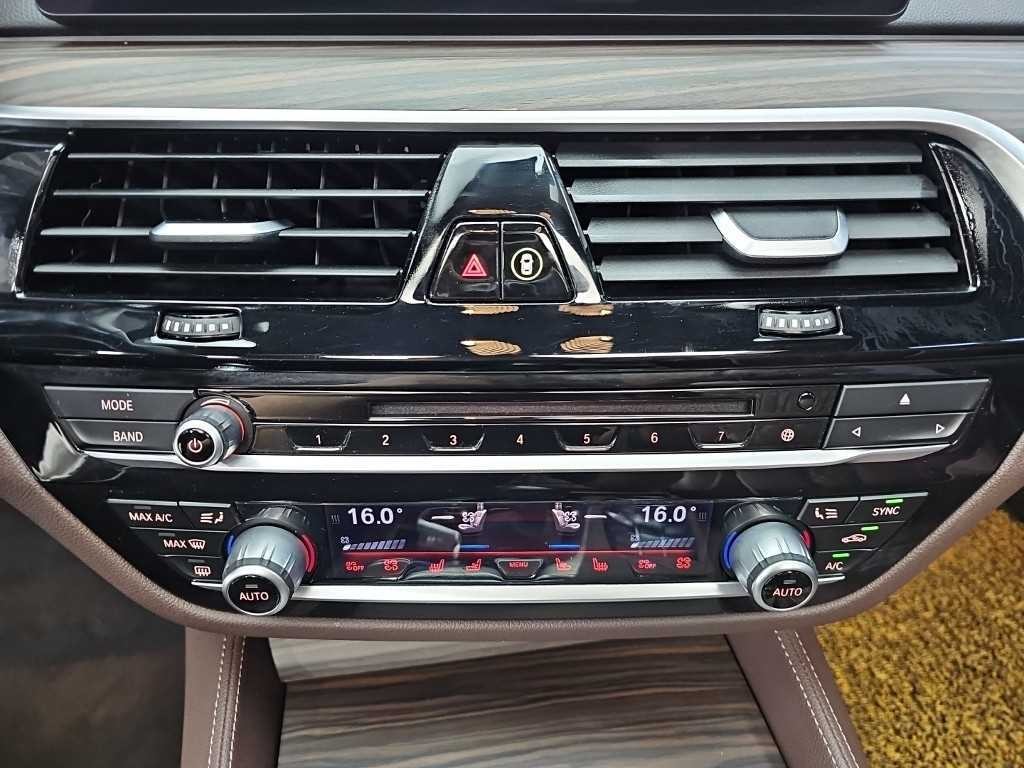BMW 5시리즈 5시리즈 (G30) 520d M 스포츠 플러스 이미지 10