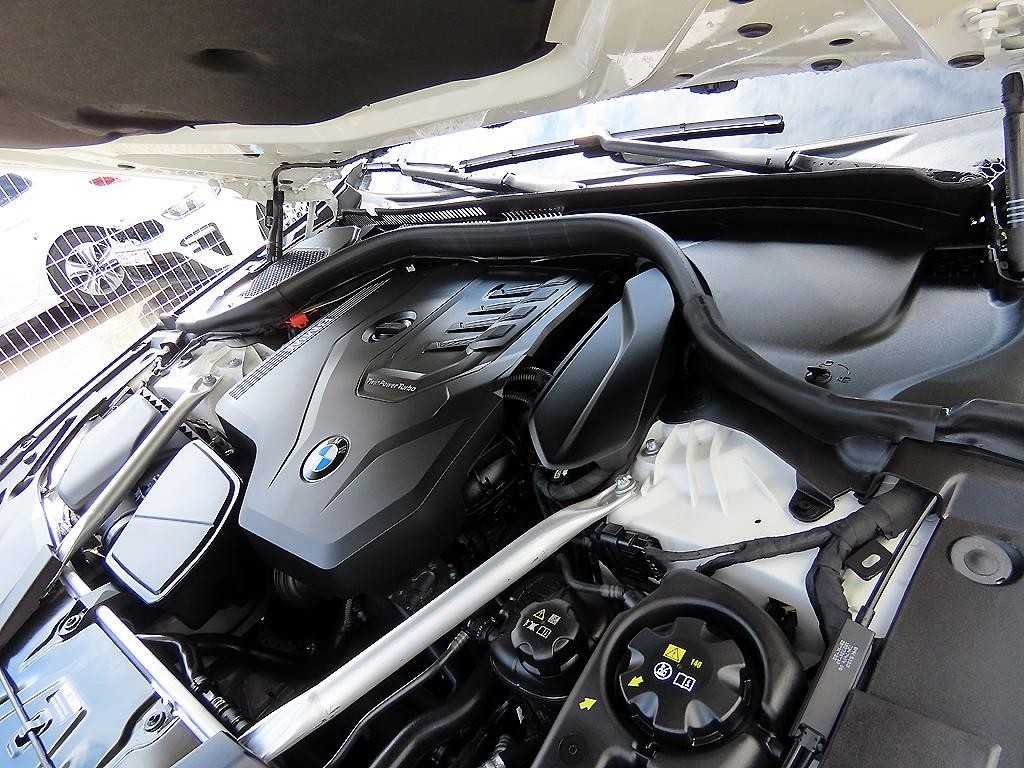 BMW 5시리즈 5시리즈 (G30) 530i M 스포츠 이미지 19