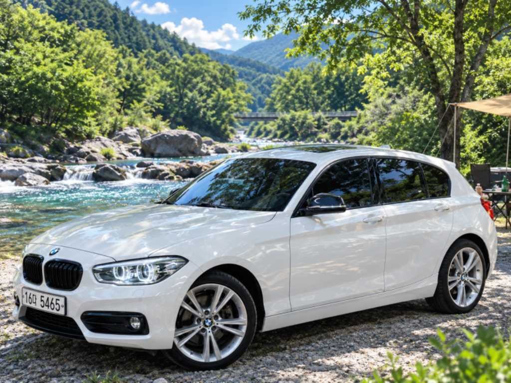 BMW 1시리즈 1시리즈 (F20) 118d 스포츠 스페셜 에디션 이미지 1
