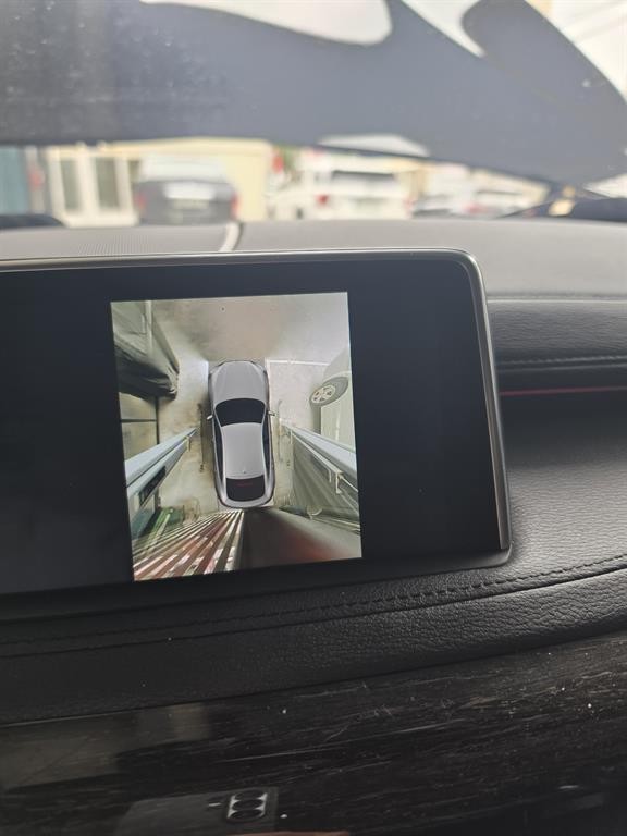 BMW X6 X6 (F16) xDrive 30d 이미지 19