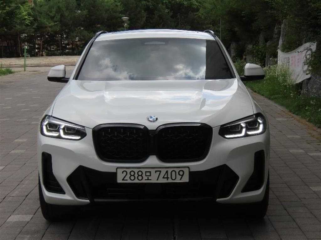 BMW X4 X4 (G02) xDrive 20i M 스포츠 프로 이미지 1